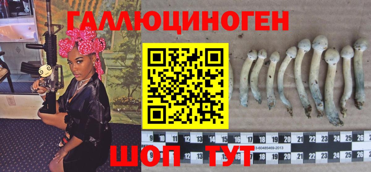 Псилоцибиновые грибы мицелий  Вход с VPN  Михайловск 