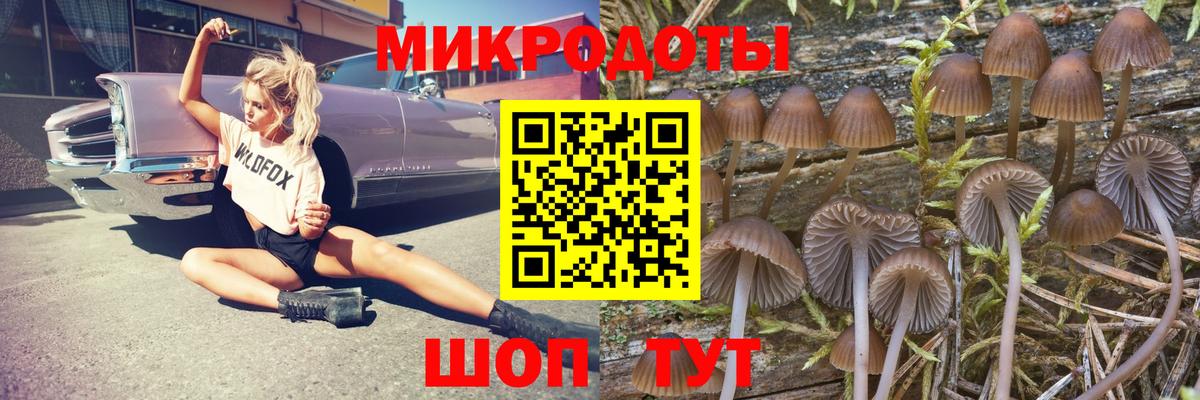 Конопля Михайловск